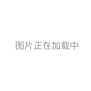 偏光显微镜BM-59XCC（电脑）